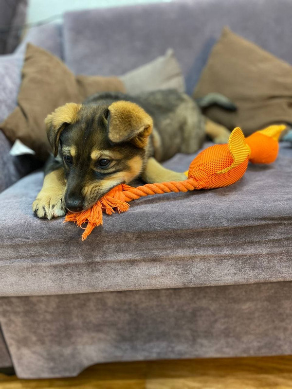 photo_2021-03-30_18-59-18 (2)