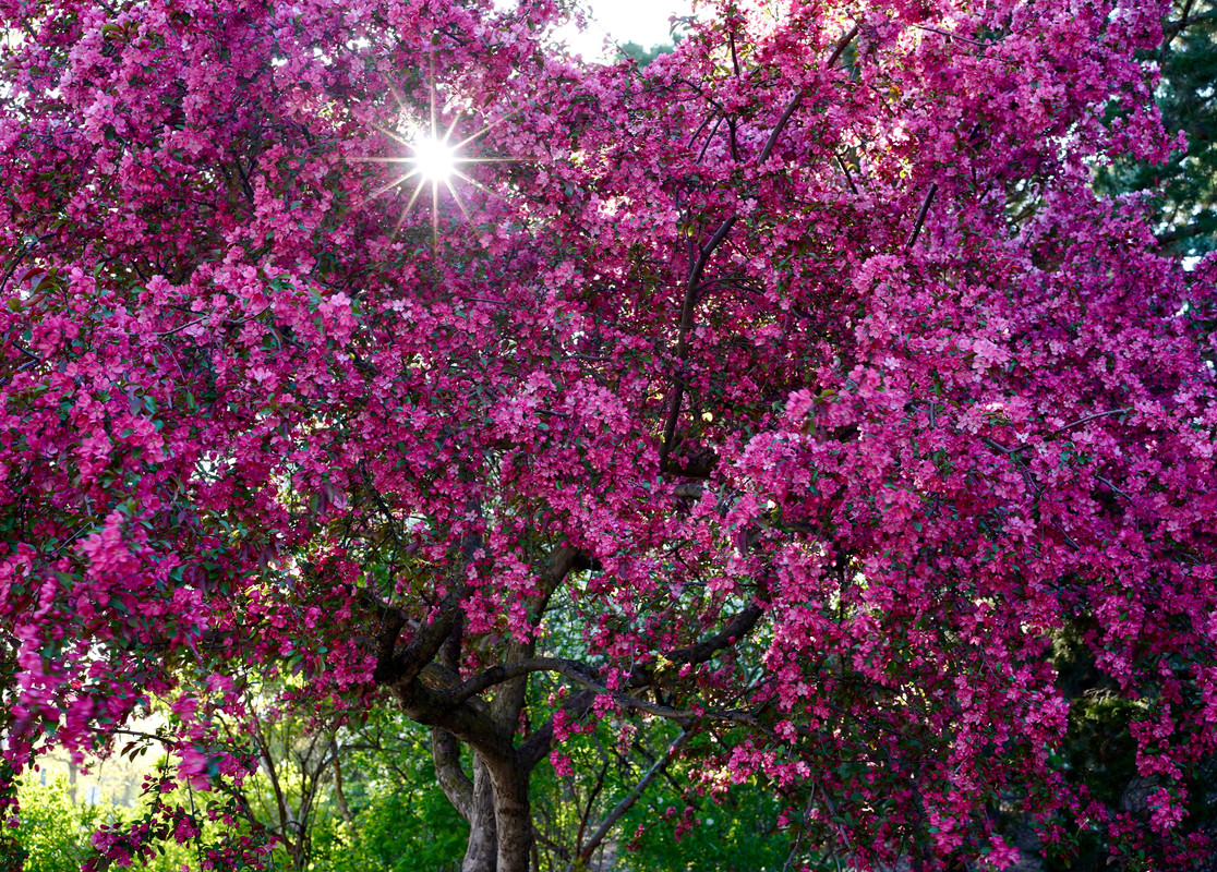 D27B5EDB-8243-4BAA-8178-4CE4AA7EFD0D