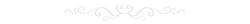 https://i.postimg.cc/QNB1LrHw/divider-2-white.png