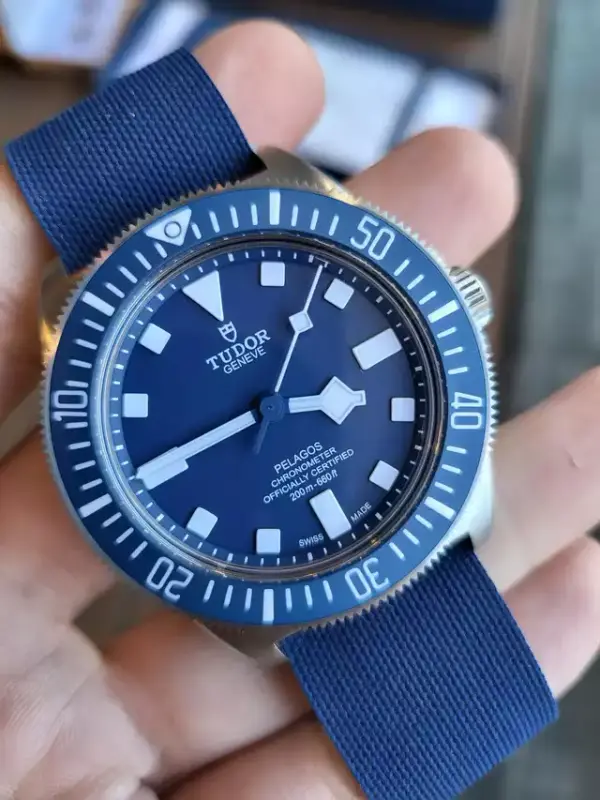 Expérience SAV TUDOR - Page 6 7-F5-BFD84-E35-C-4-C4-C-B45-B-048033271312