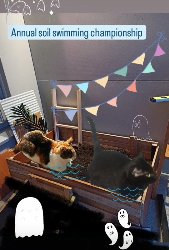 Screenshot_20250727_132324_com_instagram_android_TransparentModalActivity