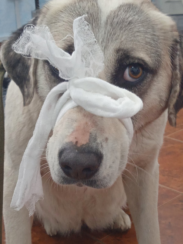 IMG-4df8ab2d8588e189d0b5c00968600e3b-V