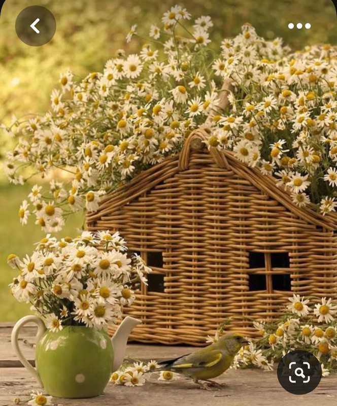 Screenshot_20230712_005241_Pinterest