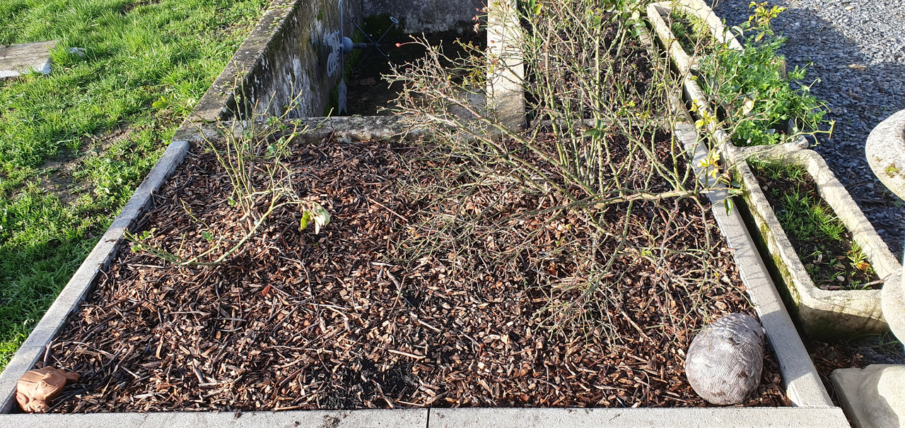 [Image: 20230109-105535.jpg]