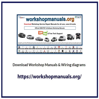 Workshop Manuals