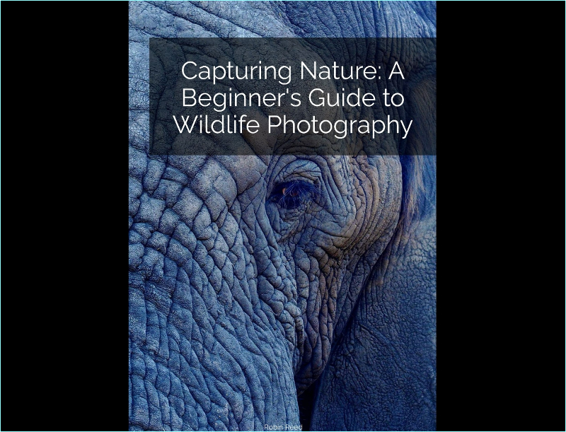 [Kép: uuk5osp0u9p6.png]