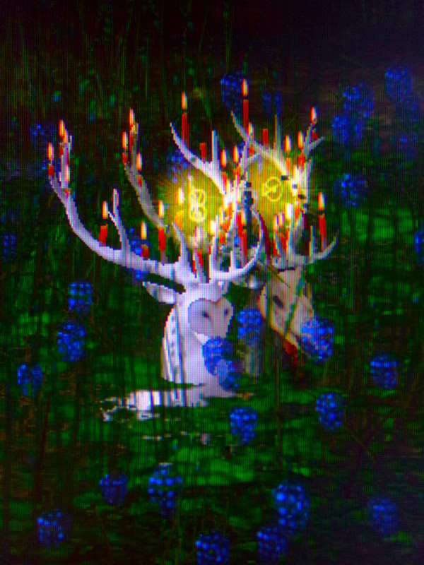 101-9577