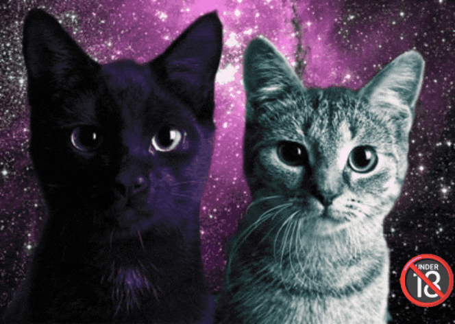 GIF-20250825-071842-454.gif