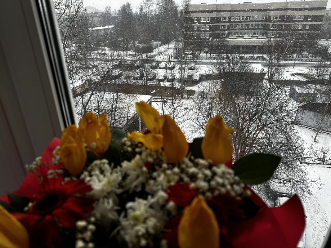 IMG-2888.jpg