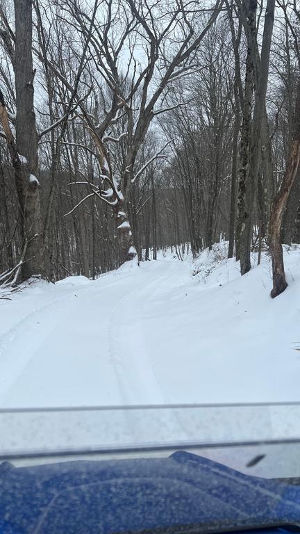 [Image: IMG_2835.jpg]