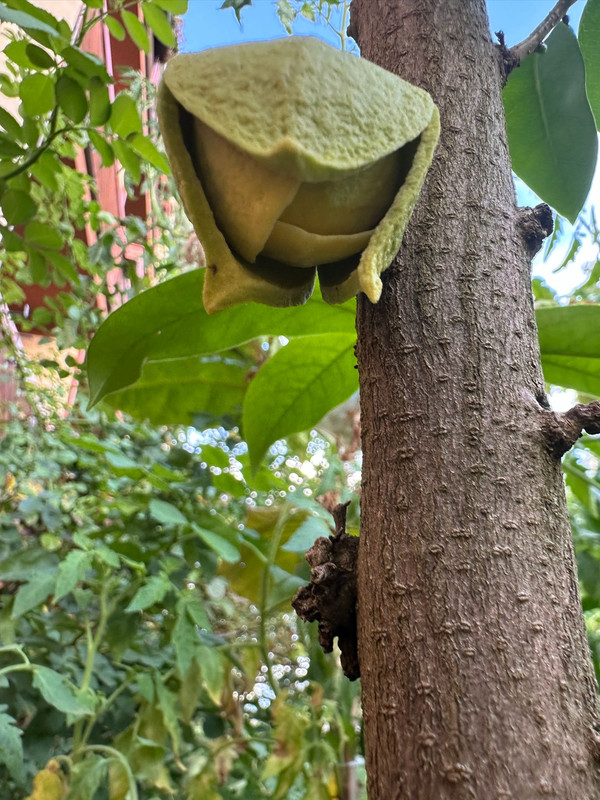 Obrázek WhatsApp, 2024-08-17 v 21.33.16_7d11e568