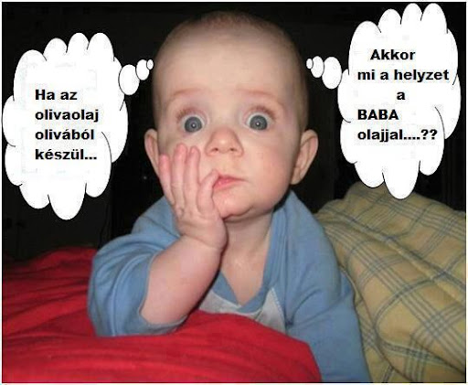 https://i.postimg.cc/QNFjTfFD/ha-az-olivaolaj.jpg