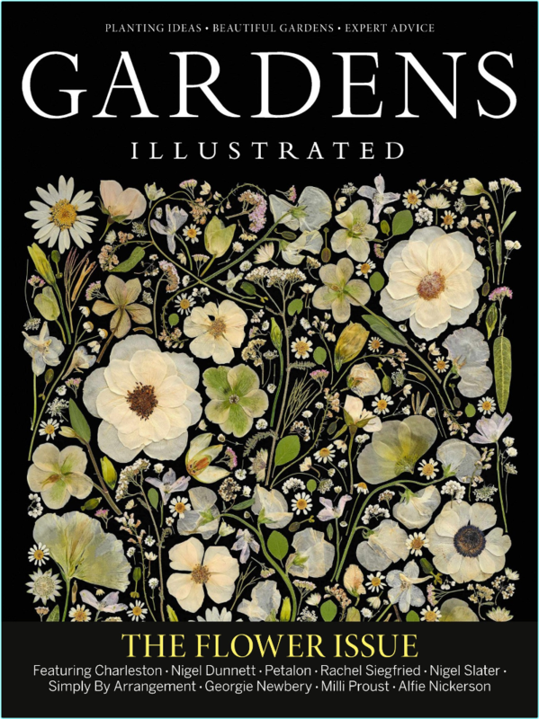 [Image: hy3gh1z2bfq9.png]