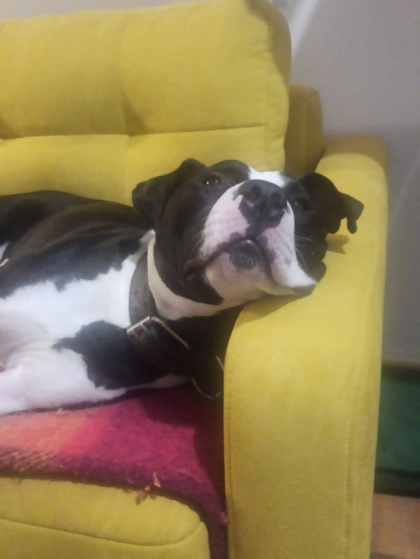 9F4CE66B-8C9F-4AB8-B816-A6A74FC96438