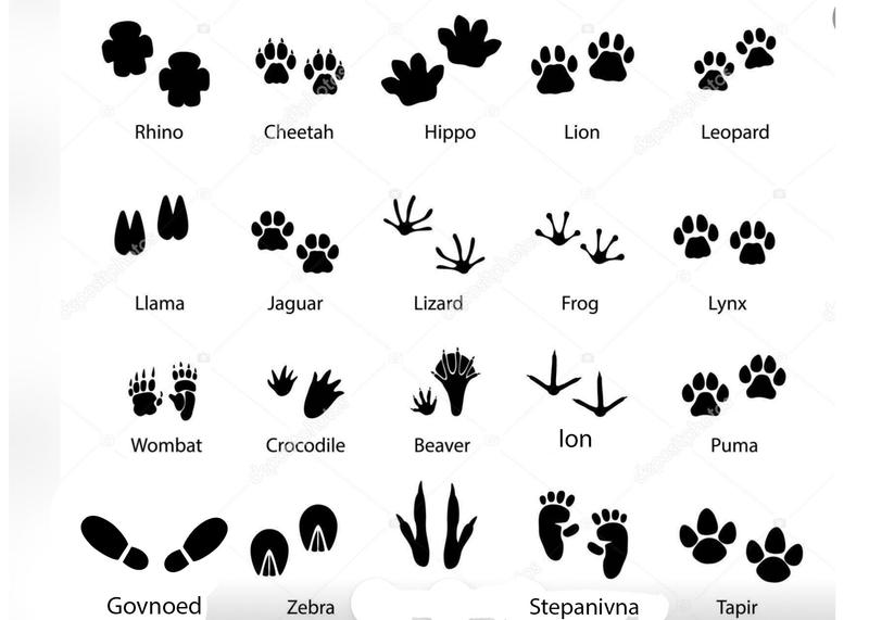 [Image: IMG-3067.jpg]