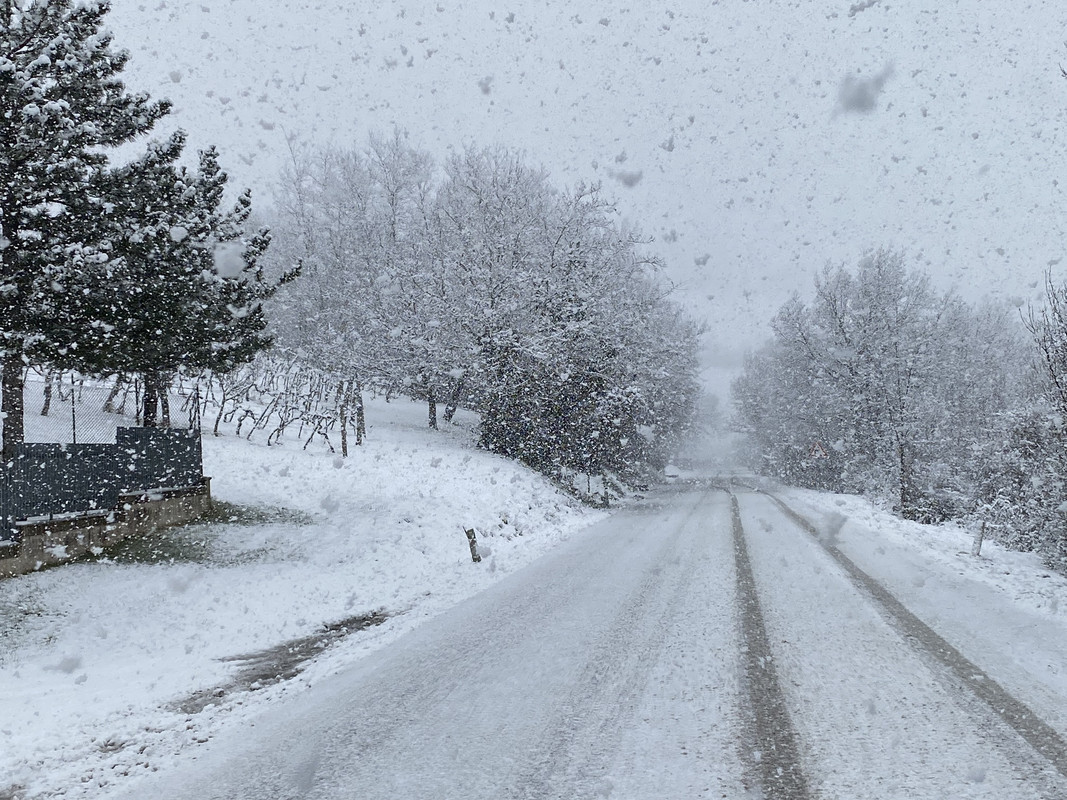 B2DC3340-1D16-49ED-A805-3539BCF83441