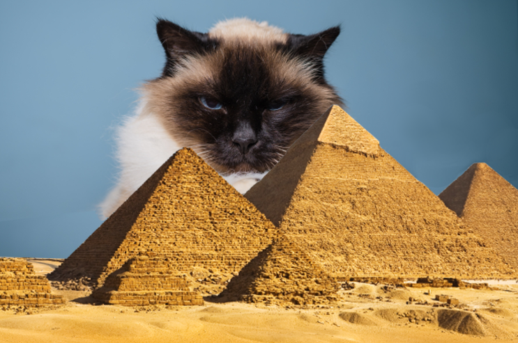 Egypt-Cat-cover-1.png