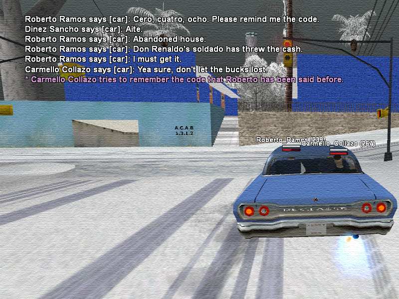 SSRoleplay242.png