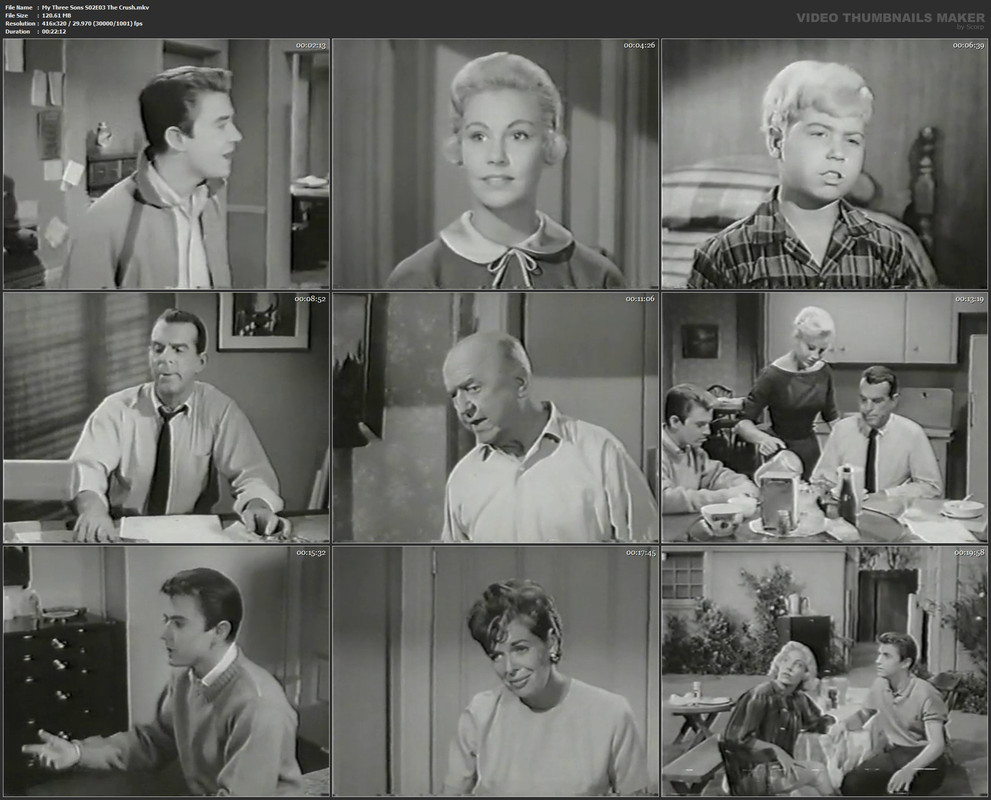 My Three Sons S02E03 The Crush.mkv