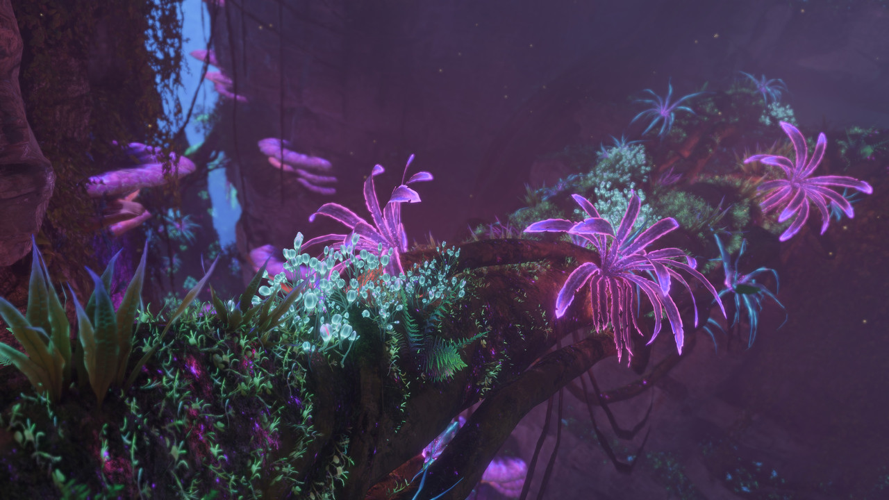 afop 2026 01 08 02 47 38 761