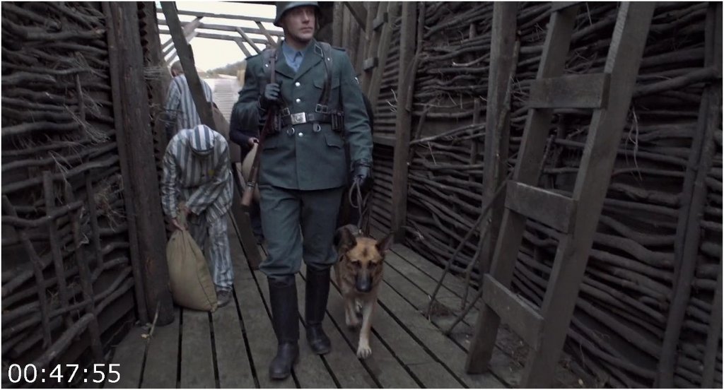 Shepherd-The-Story-Of-A-Jewish-Dog-2019-1080p-Blu-Ray-H264-AAC-RARBG.jpg