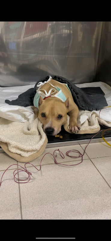 6E6C7B75-B81B-4B87-8493-F9390B5151AB