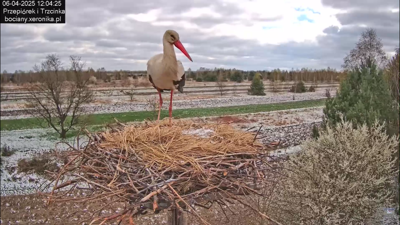 06042025minutazbocianem_19