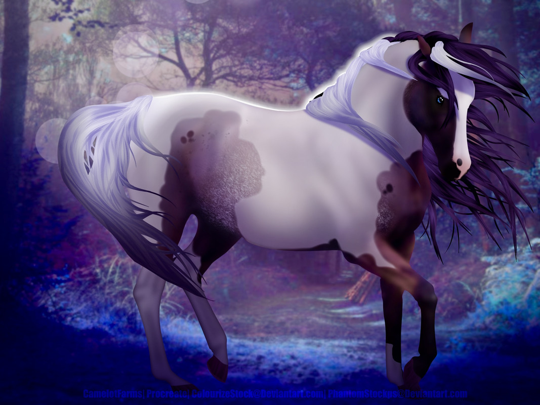 CCA006-D3-D581-4-B3-D-84-D2-F1-D3-B1-E2-B3-A1.jpg