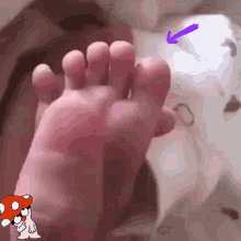 https://i.postimg.cc/QNK1rXVB/plantar-reflex.gif