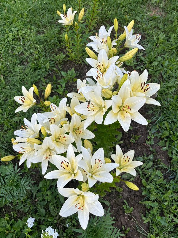 l I3g Ec ICt Rp SJPO Kblqf8 d1ZP40HZBv Sbq4v X2GNeuu N TEn NL 7G6PXqv S1oqax VXj4jza Y0kbz P1h M5sh 