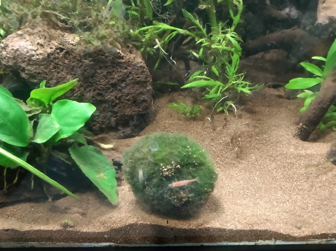 WhatsApp Image 2023-03-19 at 19.50.49 (1)