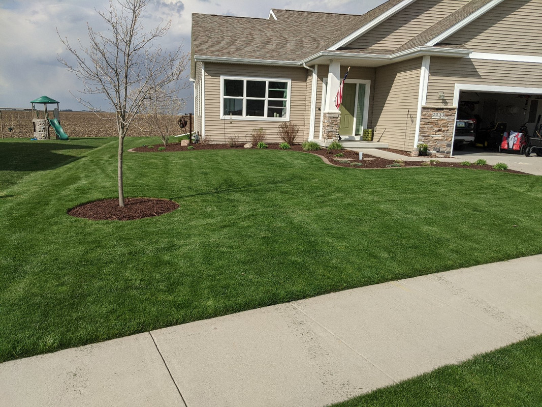 MVIMG_20200425_163904