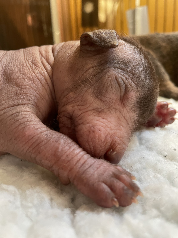 C137C8BB-E9DA-4AAC-9F75-B8CA5E58AEE5