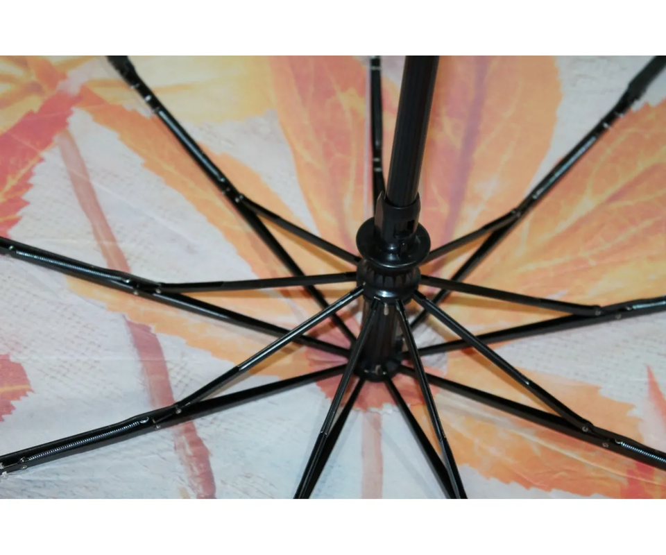 IMG_3813 – копія (2)-1200x1000