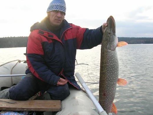 Жуков Альберт ?ыбу спасли джиг спиннинг рыбалка  катушка  судак 