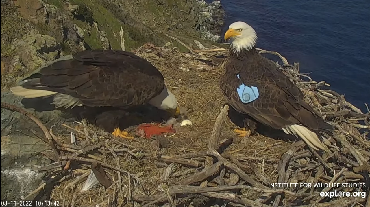 770A2786-CF86-49B9-891B-0E7988D82BFB