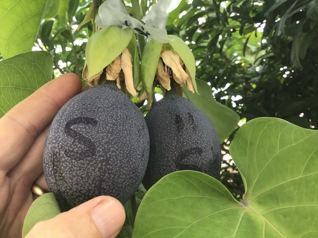 0597C672-CA47-4825-8D59-2FDD545C8871