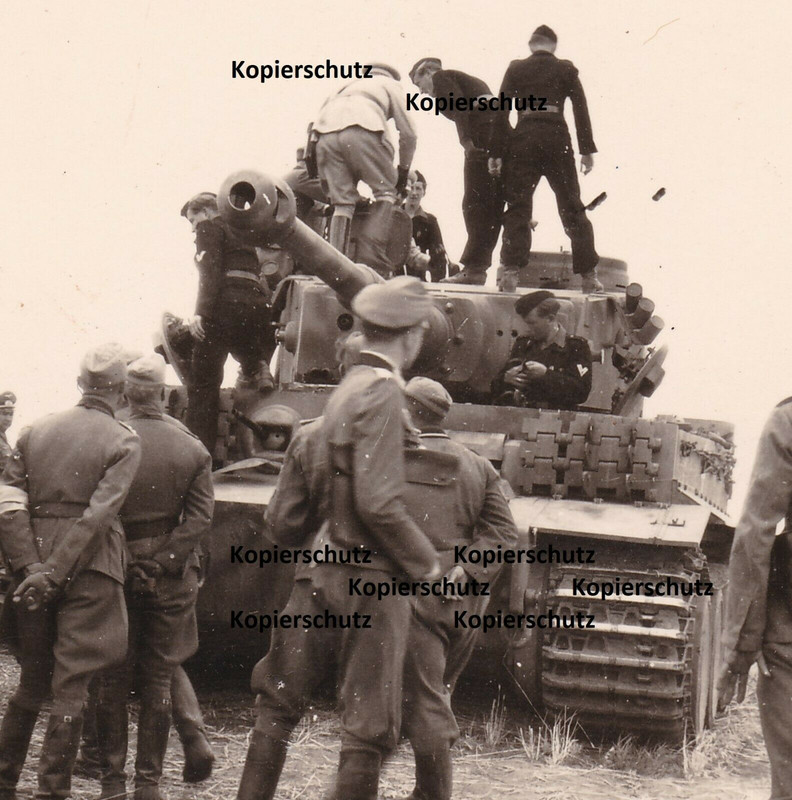 Original Foto Tiger Panzer mit Besatzung, vermutlich Ostfront, Rußland1