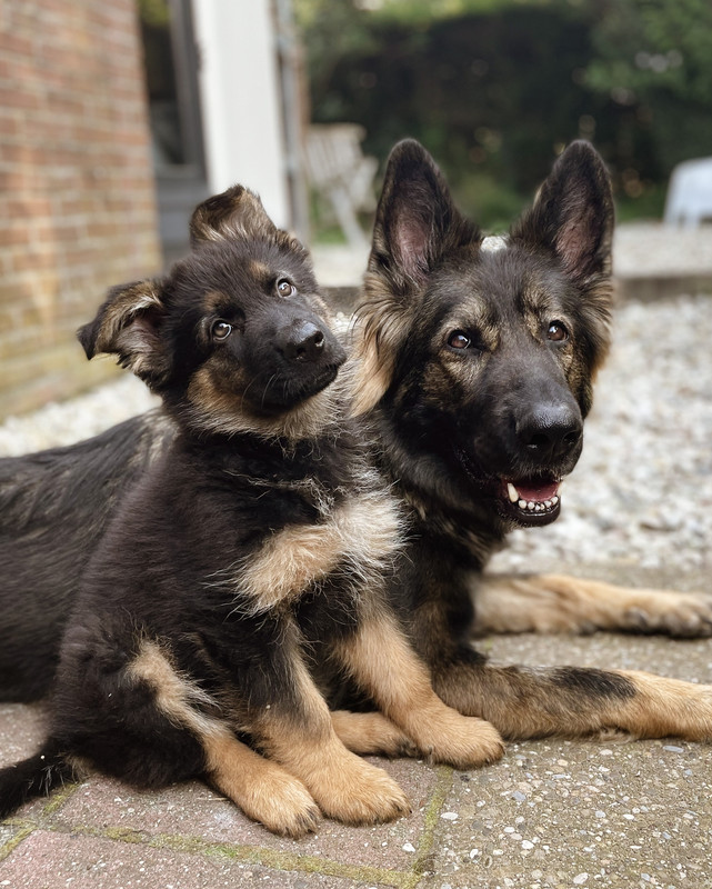 365D17C0-C84C-4242-87C2-9CF0C936582F