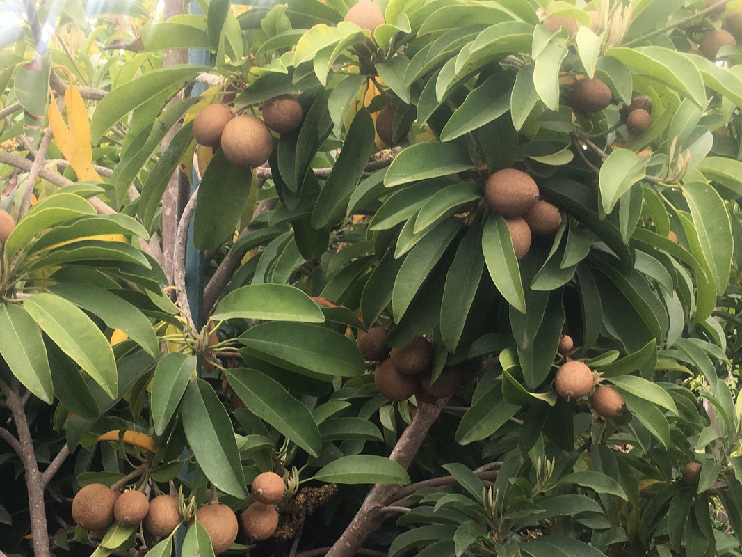 1228D2C3-E78F-4BFD-AB1C-D07B01C4B5B3