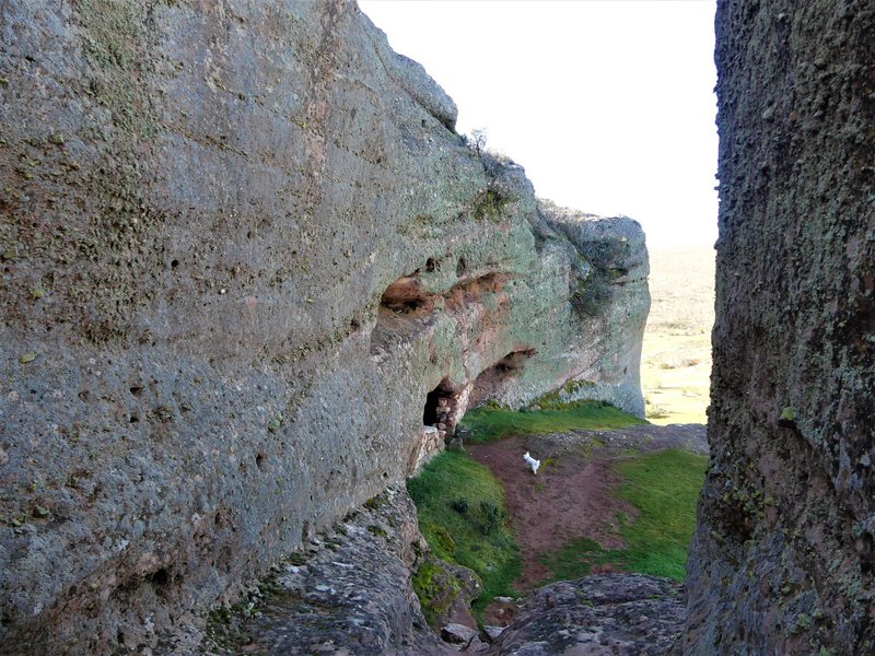 YACIMIENTO ARQUEOLOGICO DE TIERMES-16-2-2020 - Soria y sus pueblos-2010/2013/2020 (64)