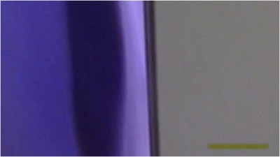 [Image: HID73308513480620260428.jpg]