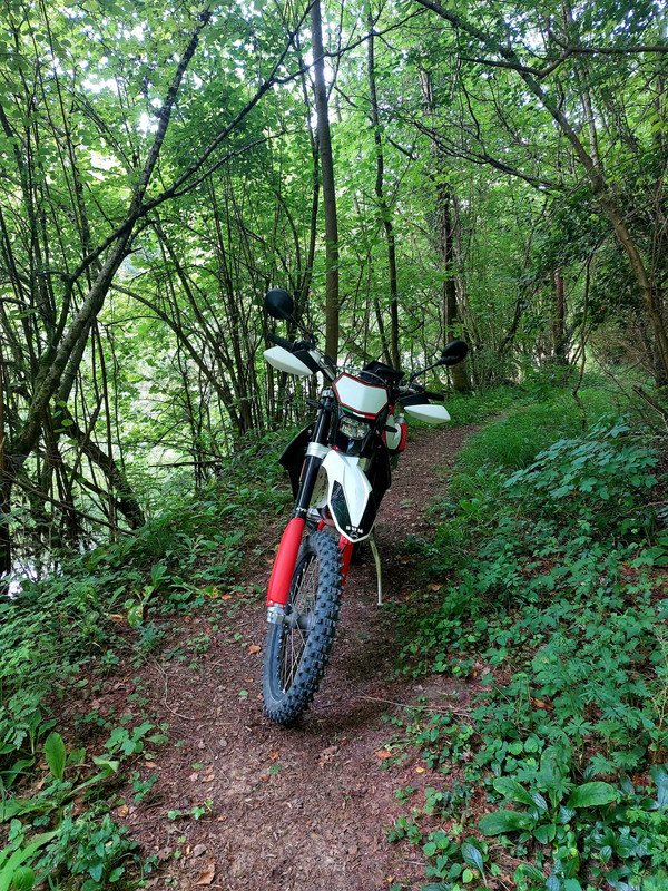 WhatsApp Image 2021-07-07 at 22.02.49 (2)