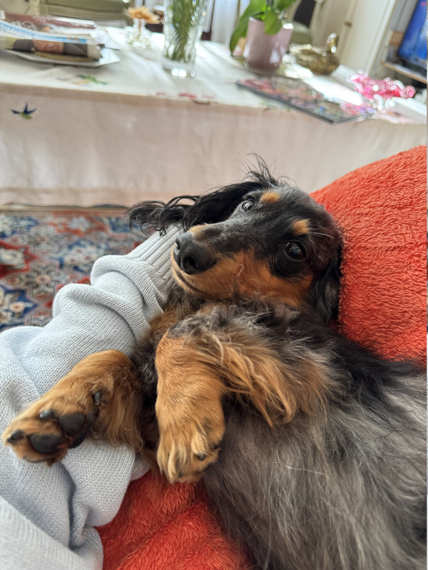 [Image: IMG-9030.jpg]