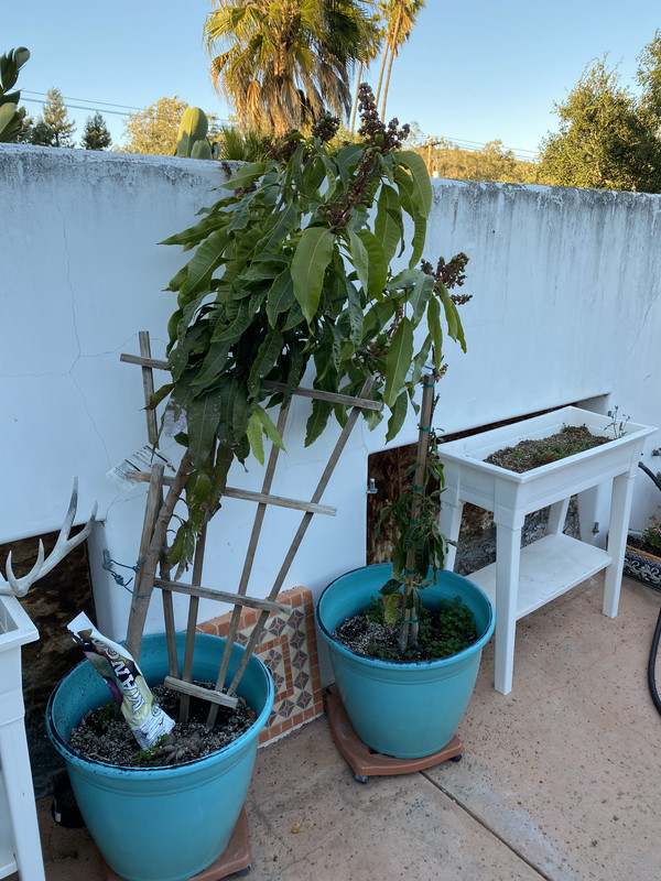 E1868E6B-8817-44E6-864A-1D0D45C0A1BF