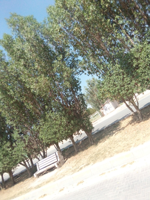 IMG_٢٠٢١٠٦٠٧_١٤٢٧١٦_٩٥٢