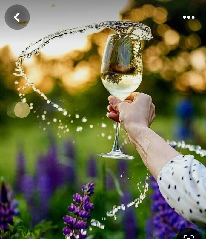 Screenshot_20240609_144806_Pinterest