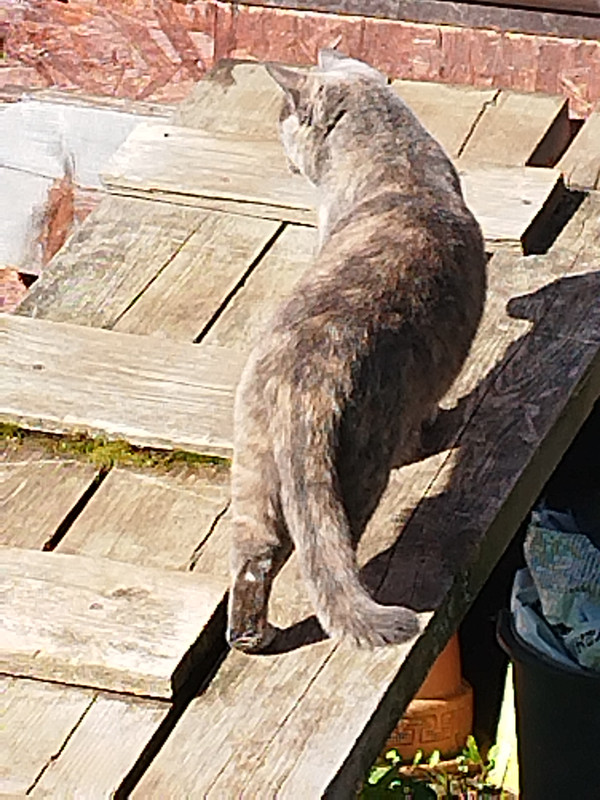 Img 20230502 084153 Postimages