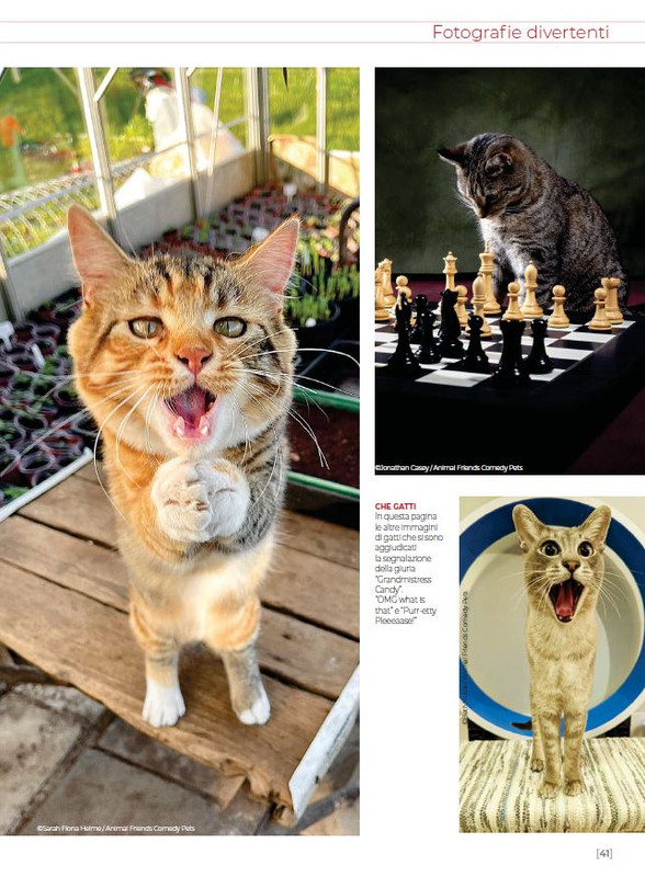 Ga Ma Dic 2022-Gen 2023 (8)