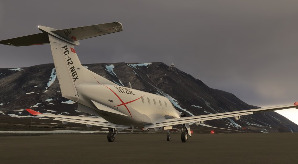 PALU-01.jpg